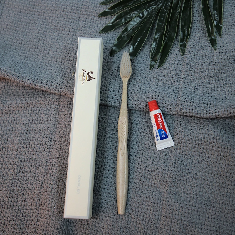 Escova de dentes profissional China Professional Dental Kit para venda a quente