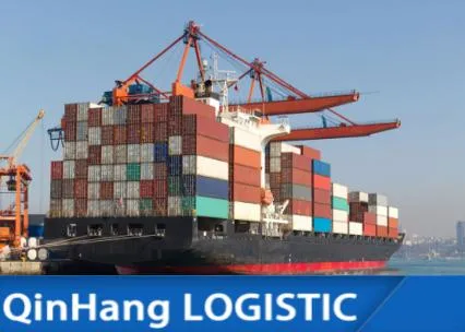 Sea cargo Sea Freight Forwarder porta a porta alimentos Comprar o Agente de Envio da China para a Isreal