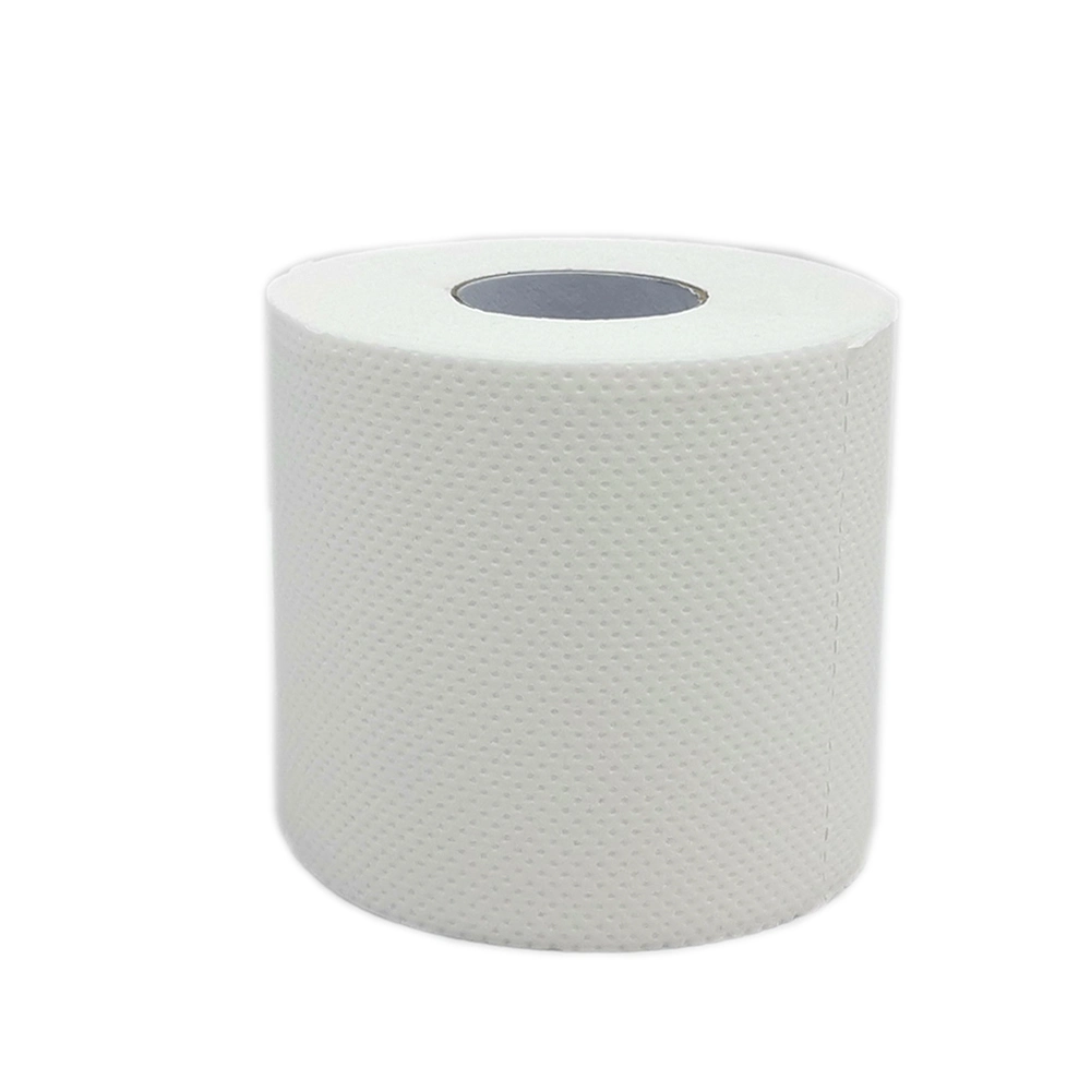 Hot Sale China Bamboo Manufacture Best Biodegradable Toilet Paper Coreless Roll