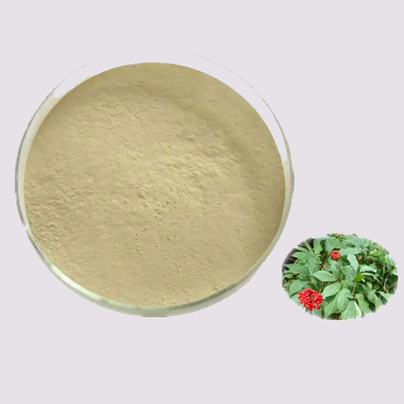 Ginseng Stem&Leaf Extract Panax Ginseng C. a. Mey Ginseng Extract