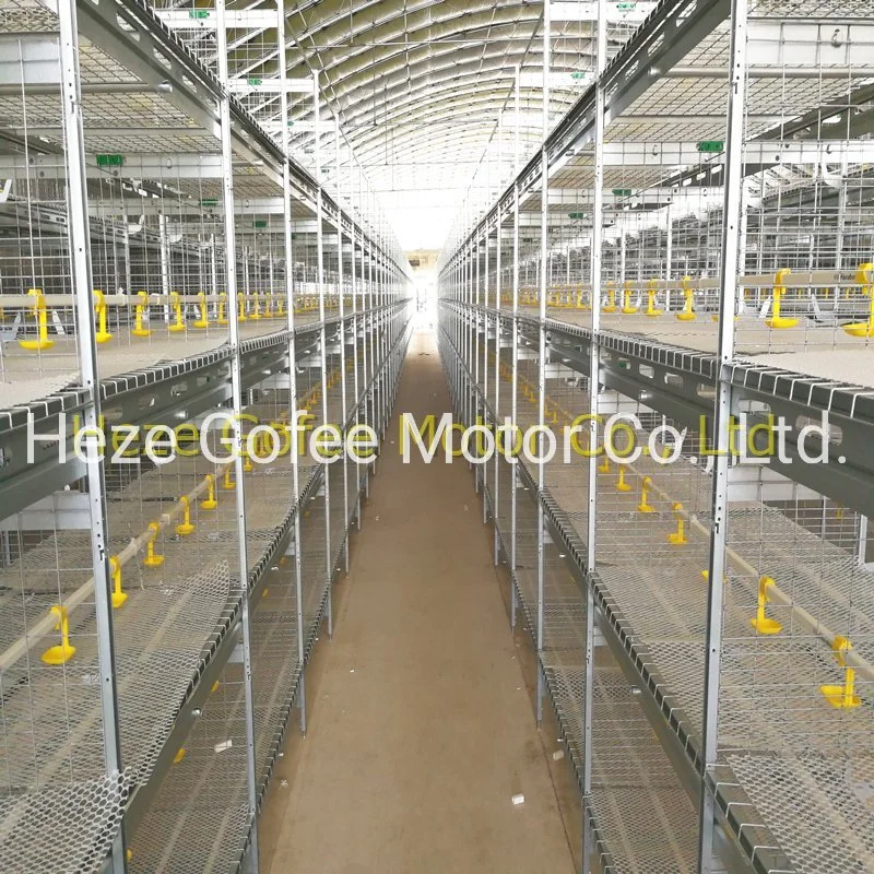 H Frame a Type Layer Broiler Chicken Animal Husbandry Poultry Cage Hot DIP Galvanized Layer Cage