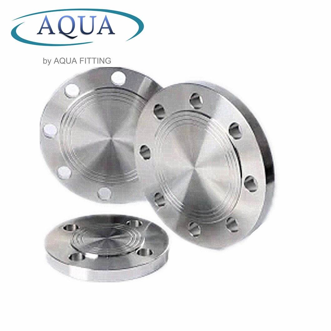 Stainless Steel Standard Flat Threaded Flange DIN2566 with ISO 9001