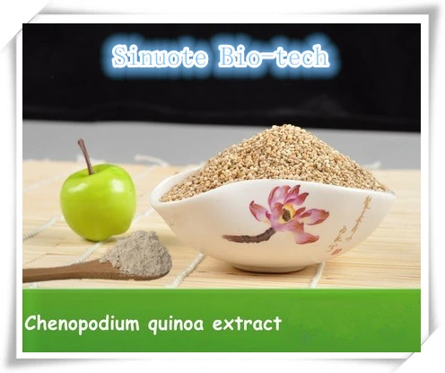 Hot Selling Quinoa Extract Powder