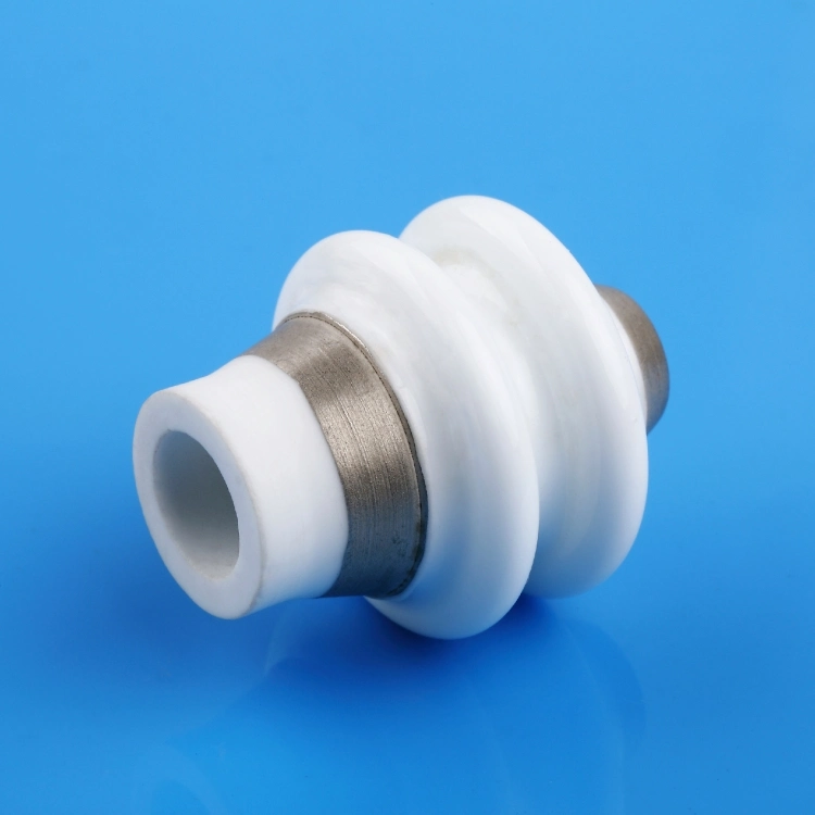 High Precision Alumina Ceramic Metalized Products