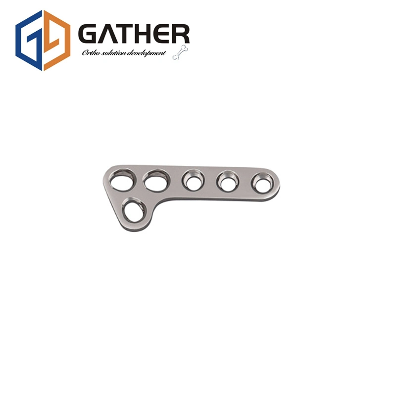 High quality/High cost performance Veterinary Medical Orthopedic Implants 1.5 Double T Type Plate