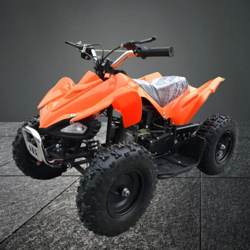 Factory Directly Wholesale/Supplier Good Quality Cheap Price 49cc Kids Quad for Sale