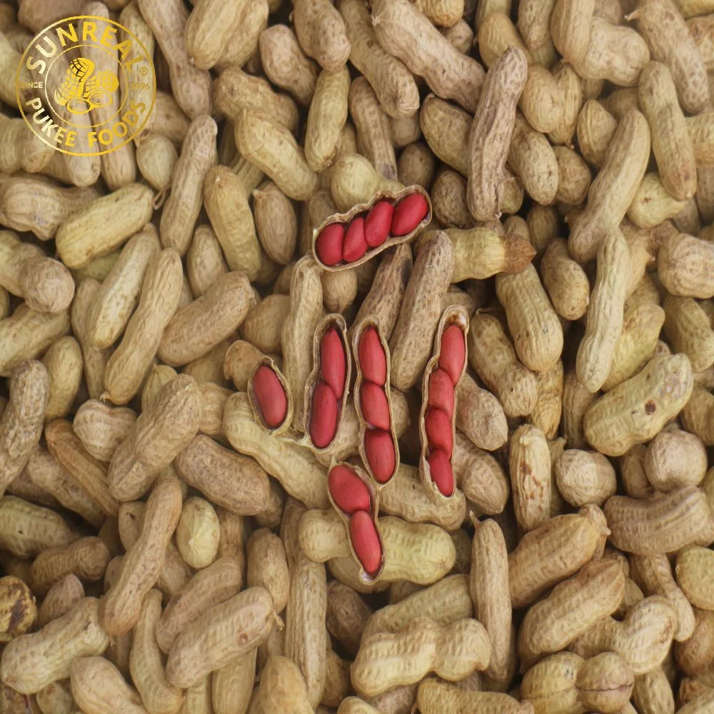 Raw Peanut in Shell/Red Skin Peanuts in Shell/Quality Assurance From China