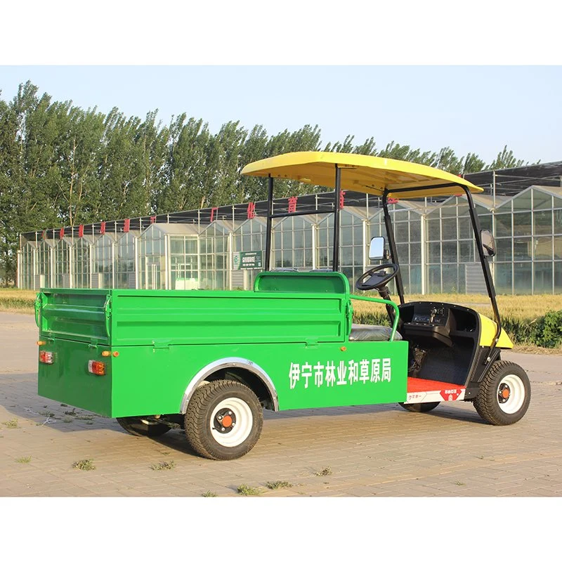 China Cheap Wholesale 2 Passengers Battery Golf Car with Cargo Bucket