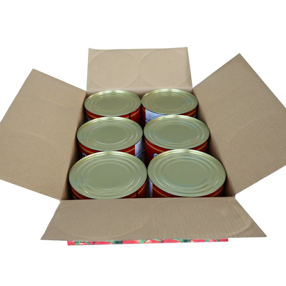 Tomato Paste Factory Bulk Tomato Paste Manufacturer in Sizes 70g 210g 400g 800g 2200g