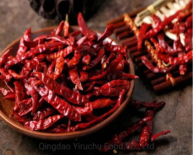 Red Chilli Exported to Domestic and Overseas Markets