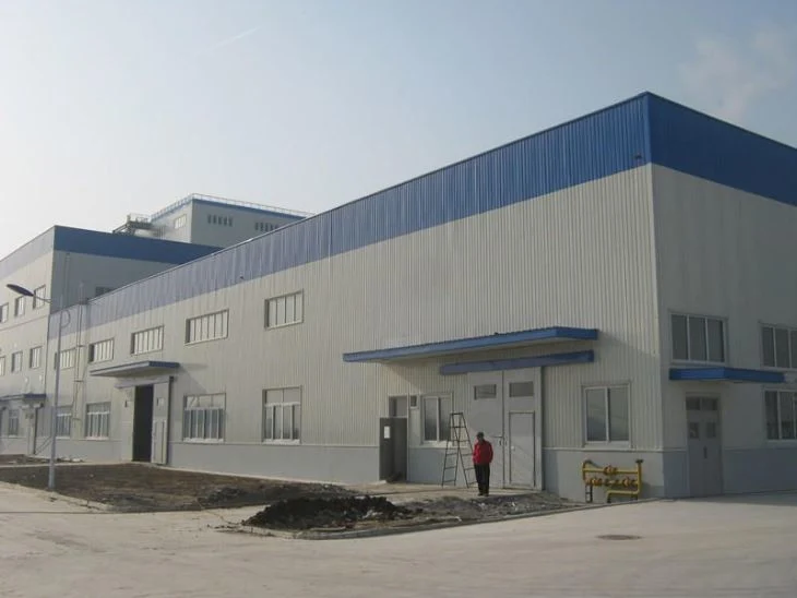 Original Factory Manufacture and Installation Steel Structure Warehouse in Africa