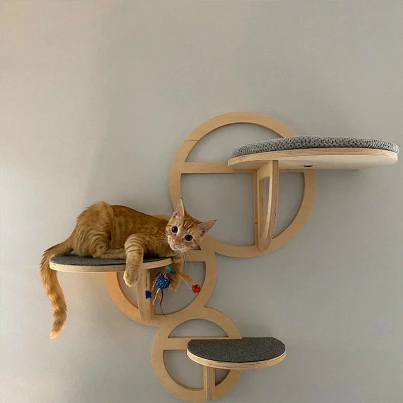 Customized Three Circle Wall Jumping Ladder Wooden One-Piece Cat Climbing Frame