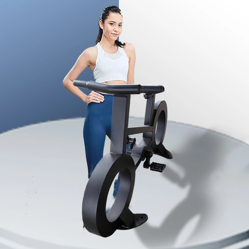 Precio mayorista directamente suministrado por ejercicio aeróbico y bicicleta de fitness Fabricantes