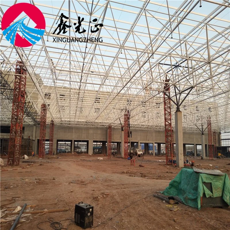 Beautiful Architectural Industrial Factory Steel Structure for Sale