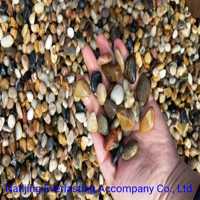 Washed Pea Gravel Polsihed Bean Pebble Stone Plant Filler Landscaping River Rock