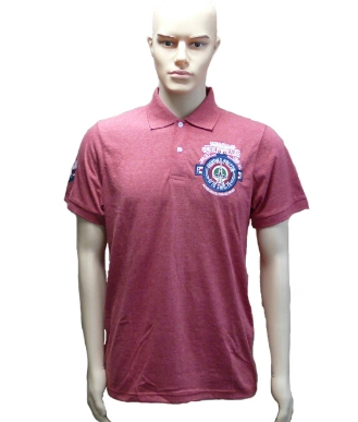 Male Polo Shirt with Embroidery Logo