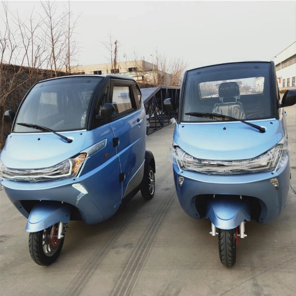 Three Wheels Cargo Electric Tricycle Motorcycle Mobility Scooter Ebike 3 Wheels Adult Big Wheel Tricycle Electric Bike with Cover