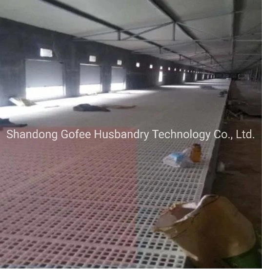 Non-Slip Plastic Leakage Flooring for Chicken Cage Equipment Livestock Farm Machinery