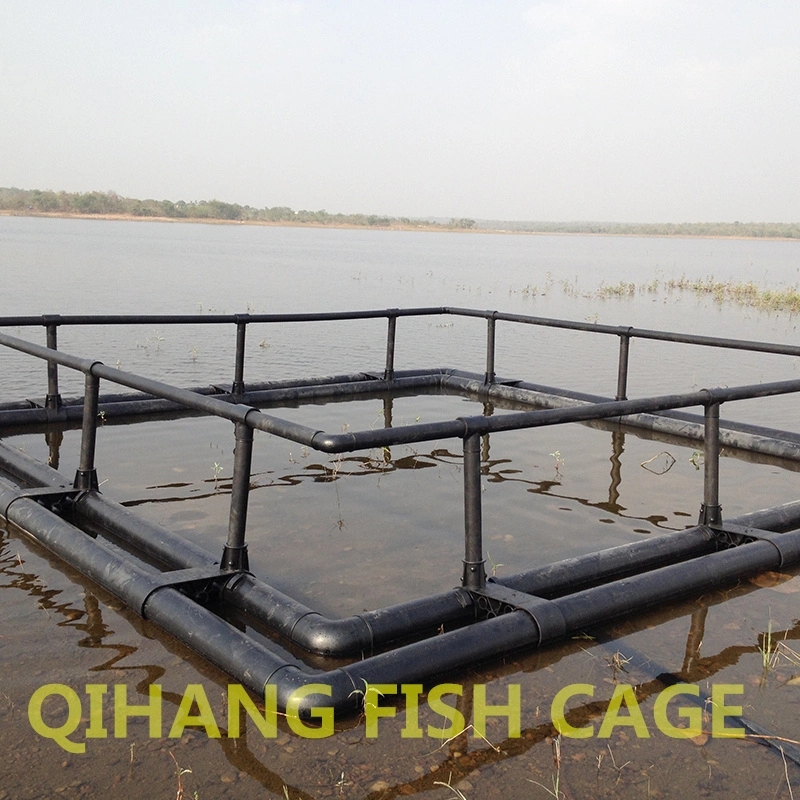 Carré pêche au piège filet cage de pêche de la ferme pour Tilapia