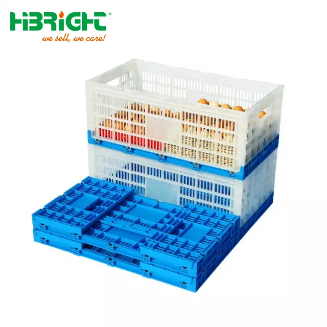 Compact Warehouse Plastic Stacking Folding Moving Crate Box for Transportation