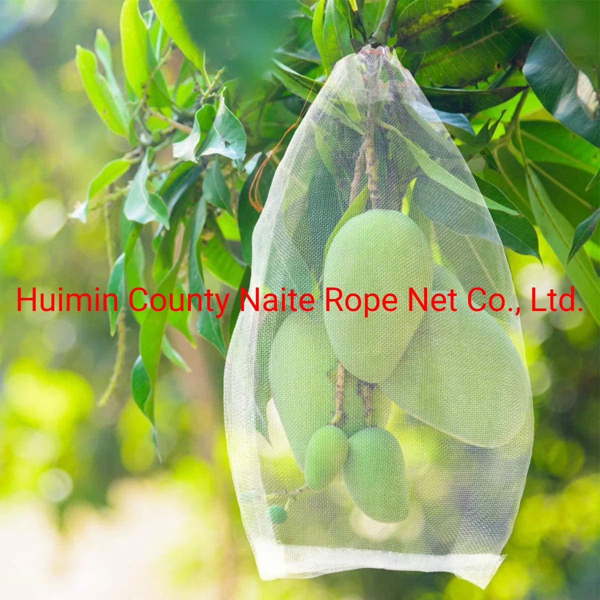 Insect Net Greenhouse Garden Nettings Fences Nets Fine Mesh Insect Mosquito Bird Net for Protecting Vegetables Flowers Fruits Trees Plants