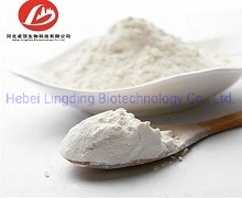 Ascorbyl Palmitate 137-66-6 High Quality and Competitive Price