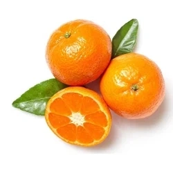 Fresh Mandarin Succulent and High Quality Wogan Mandarin From China