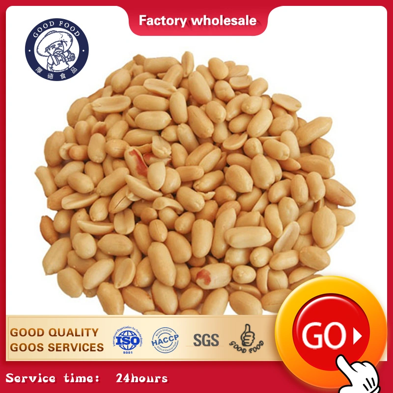 Professional Production Blanched Peanut Kernels New Crop Good Quality Round Shape Blanched Kernel Peanut