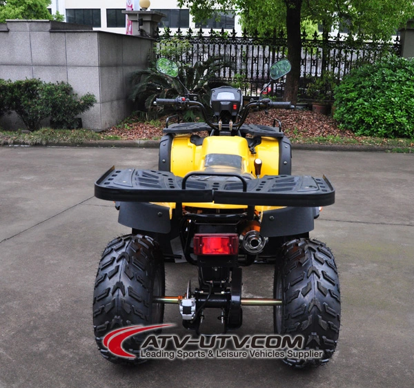 150cc 200cc 250cc 300cc ATV Quad Bike Preis 125cc