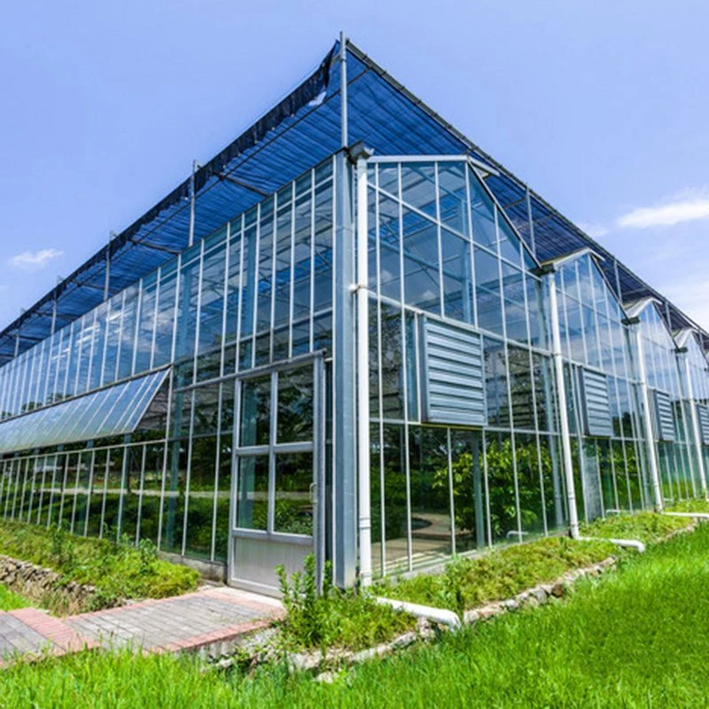 Glass Greenhouse for Planting Vegatable