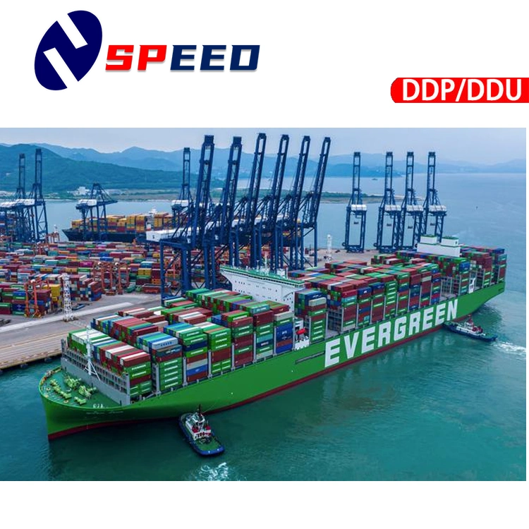 Faster sea Freight Shipping Forwender Company de China a Uxembourg, Dinamarca, Irlanda DDP a servicio de la puerta