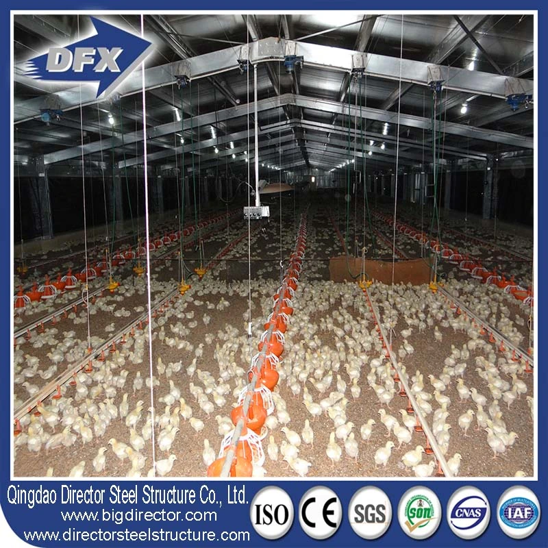 Import China Frame Poultry Farm Steel Structure Chicken House