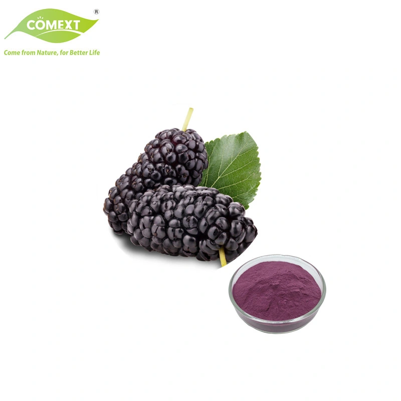 Comext Natürliche Mulberry Fruit Extract Mulberry Fruit Powder Saftpulver