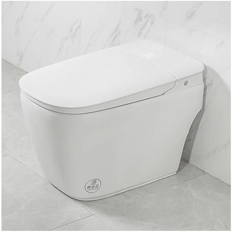 Ceramic Siphon One Piece Smart Toilet Bowl with Bidet