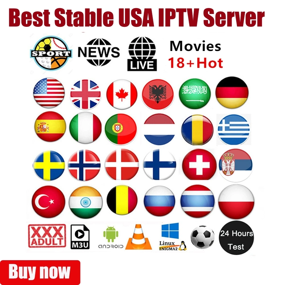 Ptv Subscription 1 3 6 12 Months for European Countries USA Canada Germany France Streaming Smart TV Max Ott Reseller Panel