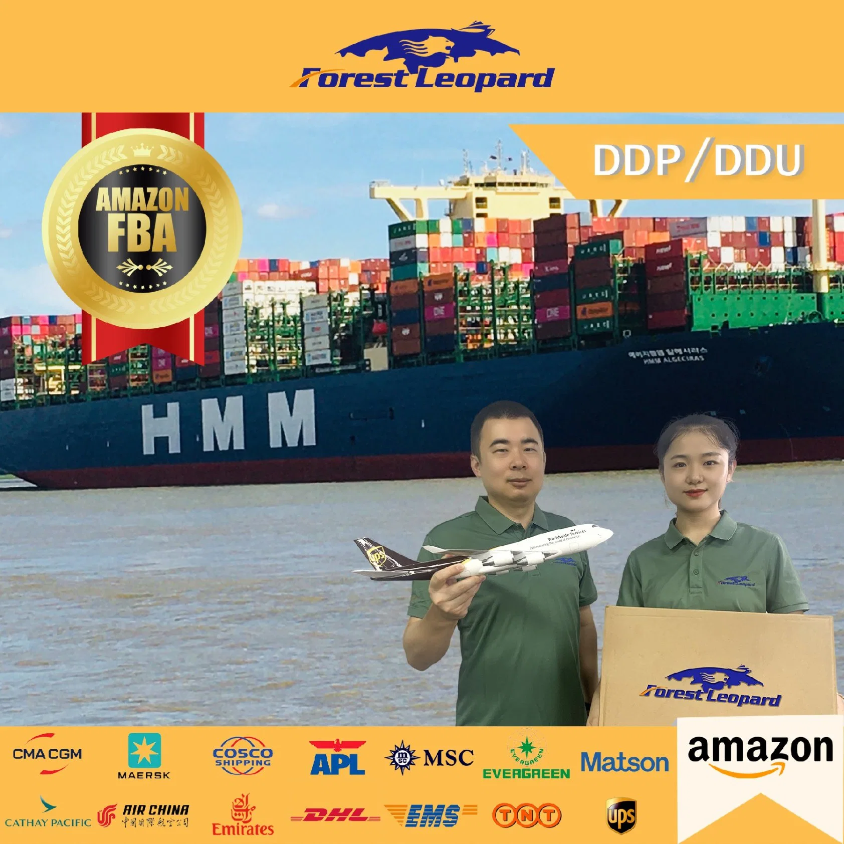 Cheapest Shipping Rates Air/Sea Cargo Services China to USA/Europe/Worldwide Fba Amazon Freight Forwarder Logistics Agent