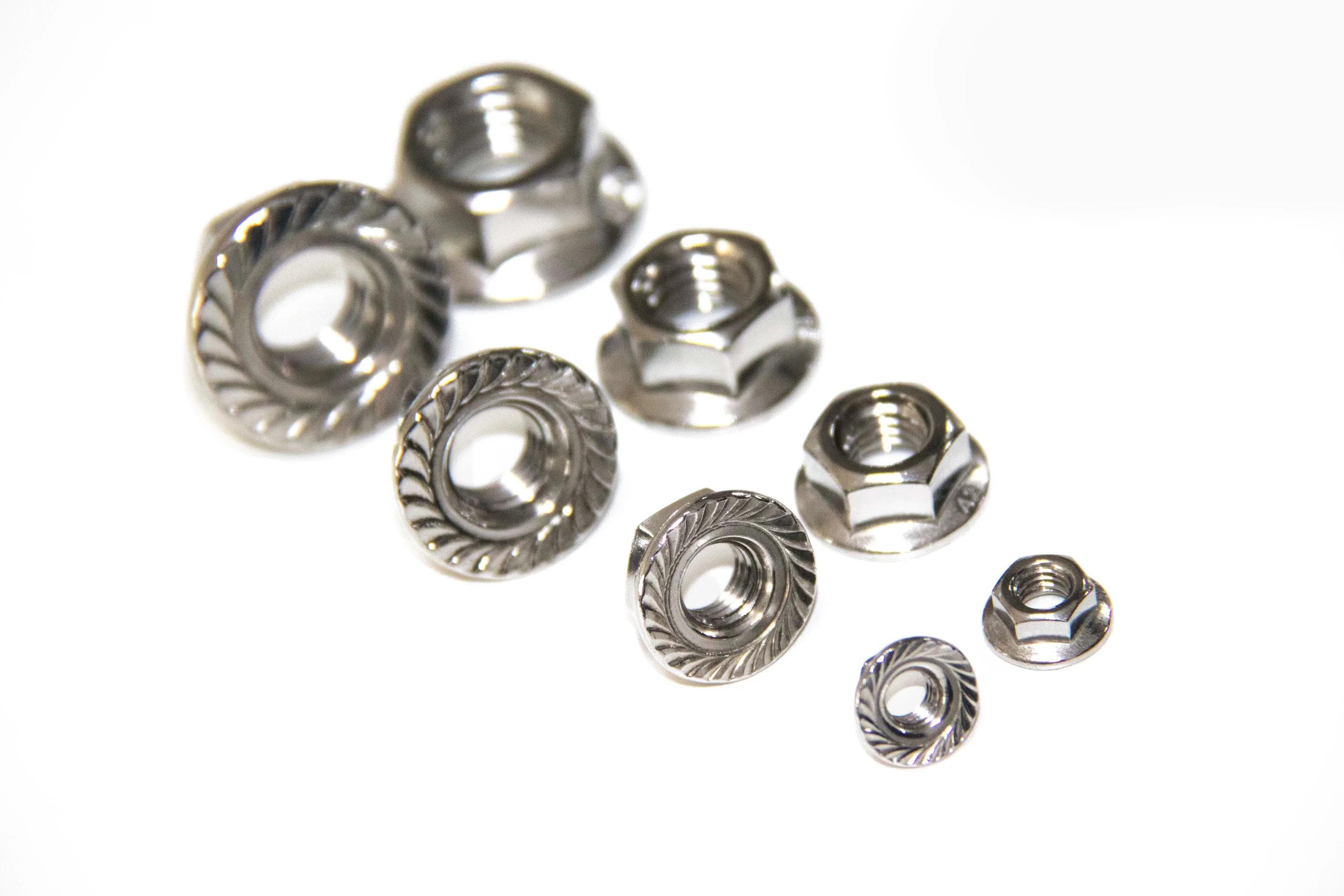 Hex Flange Nuts (S. S., Toothed, 304, 316, DIN6923)