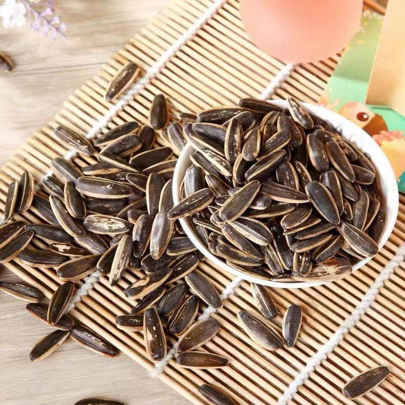 China Kuaci Nuts Factory Process Big Size Long Shape Sunflower Inshell Seeds