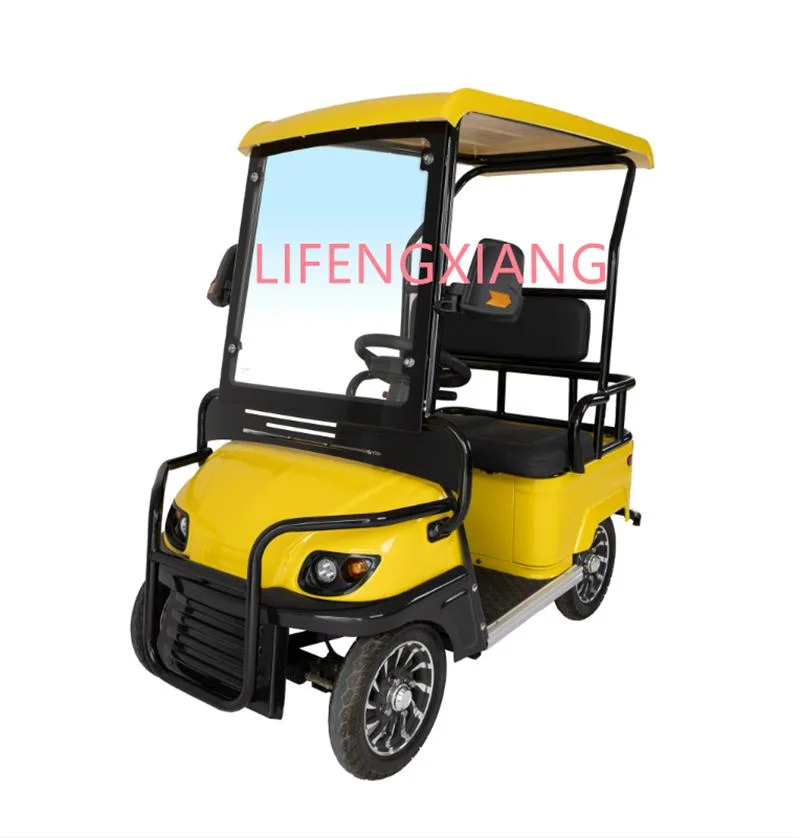 New Design Factory Wholesale/Supplier Price Adult Battery Operated Electric Sightseeing Club Car with 800W Motor