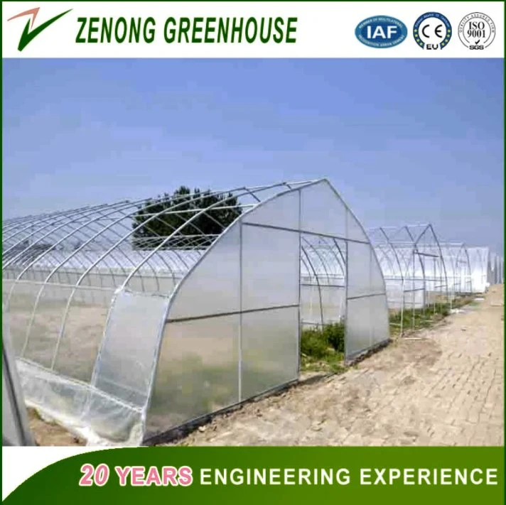 China Professional Multi-Span PE/Po Film Plastic Greenhouse for Vegetable/Crop/Flower/Fruit Planting