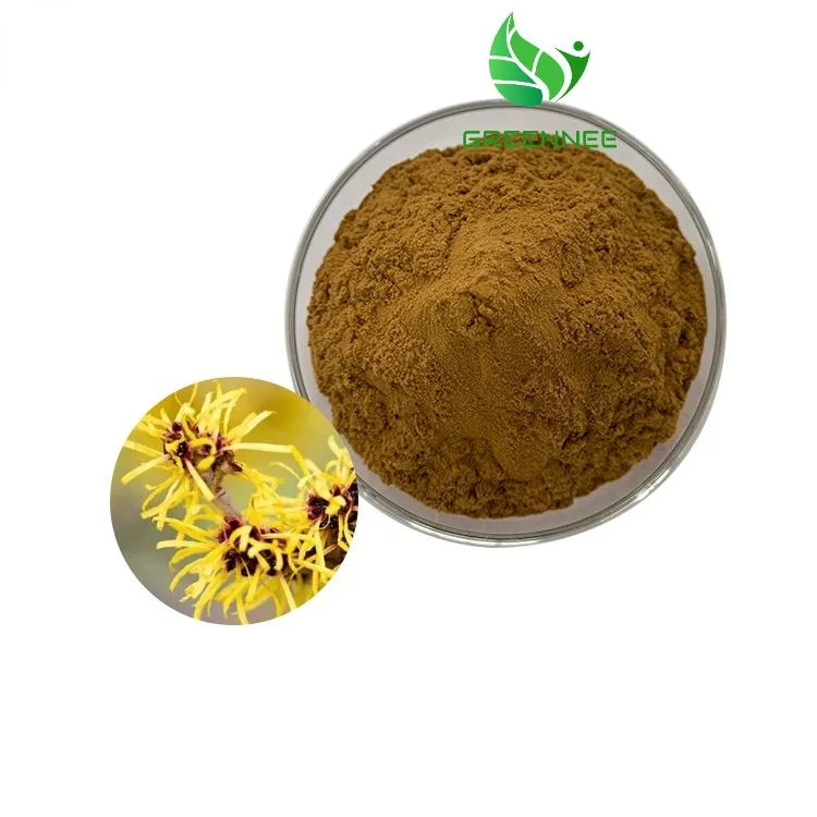 La oferta de venta caliente 10: 1 extracto de Hamamelis polvo