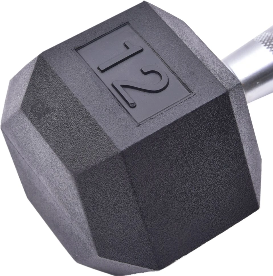 Ad-01 Body Building Rubber Coating Hexagon Dumbbells Hex Dumbells Cast Iron Dumbbells Strength Equipment