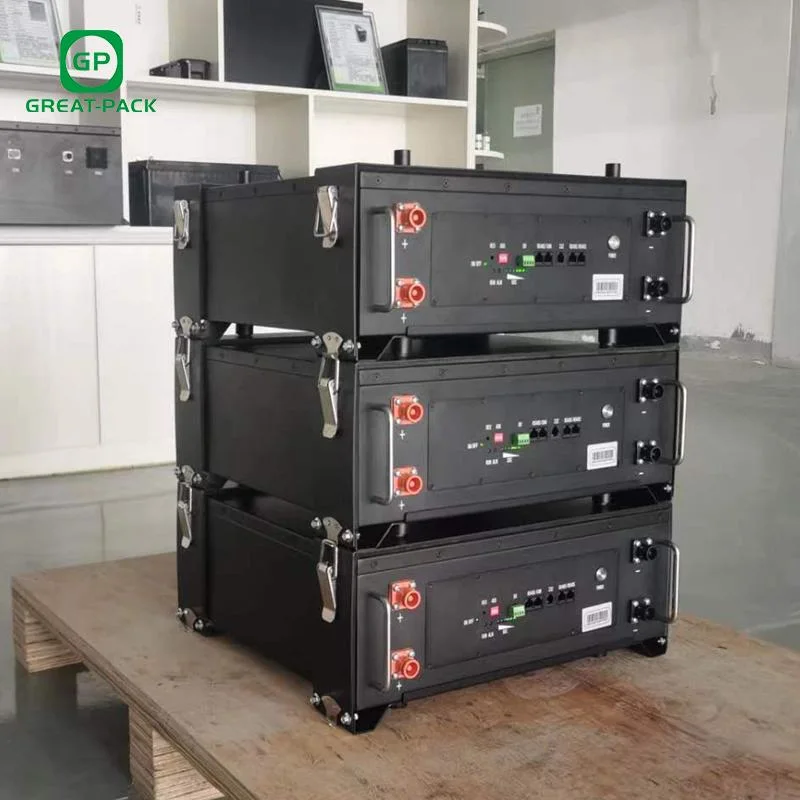 48V 100ah 200ah 5kwh 10kwh LiFePO4 Rack Mounted Battery Pack with BMS