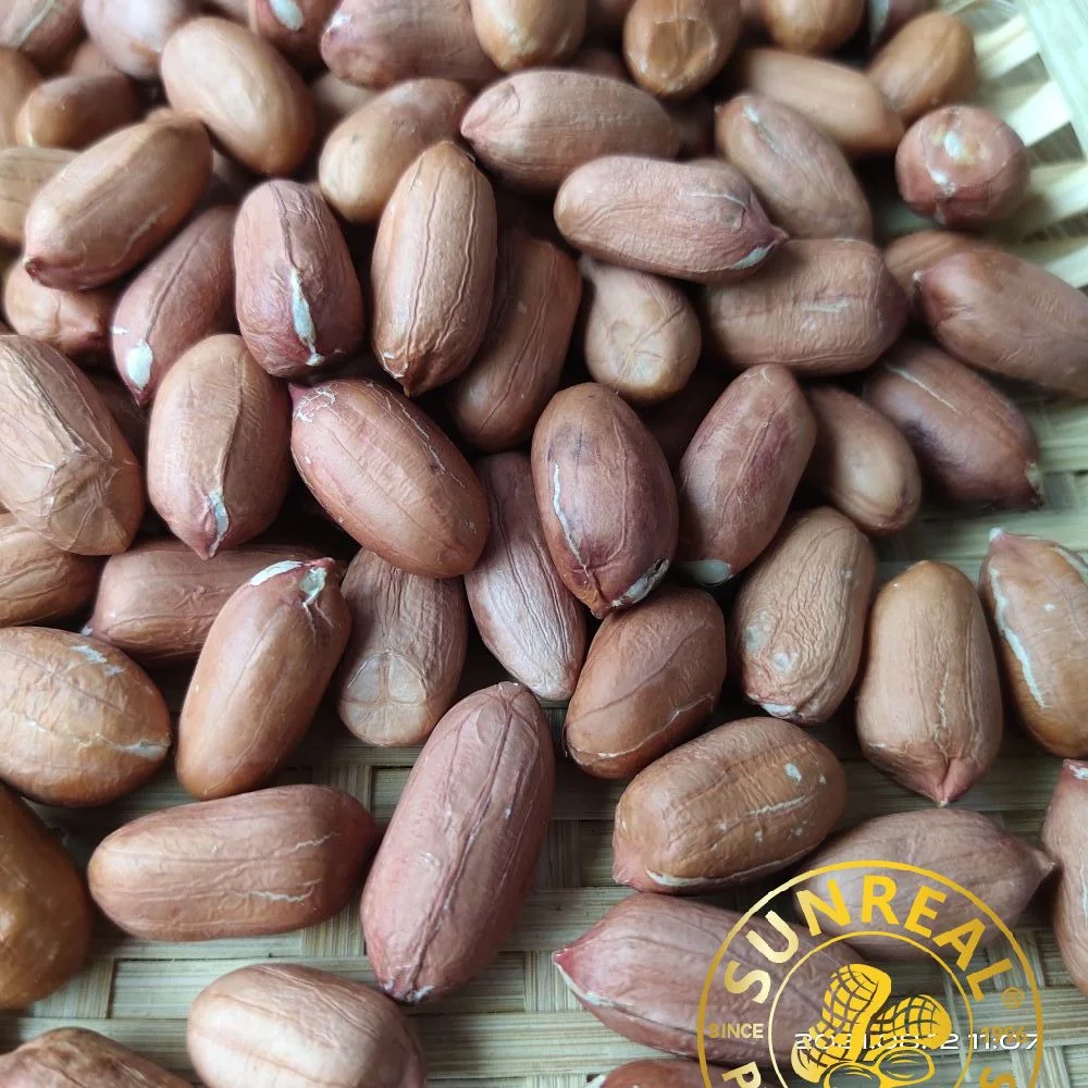 Raw Peanut Kernels Virginia 28/32 China/High quality/High cost performance  Peanut Seeds