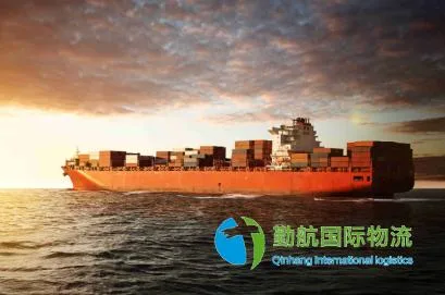 China Forwarding Agent and Sea Freight Forwarder Amazon Fba Sea Shipping From China to New Zealand USA Europe Africa