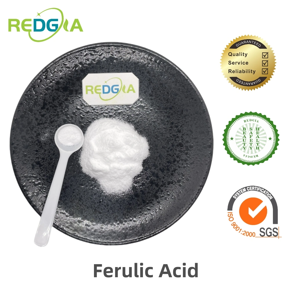 High Quality Natural Rice Bran Extract Cosmetic Grade CAS 1135-24-6 Ferulaic Acid Ferulic Acid Powder Hot Sale