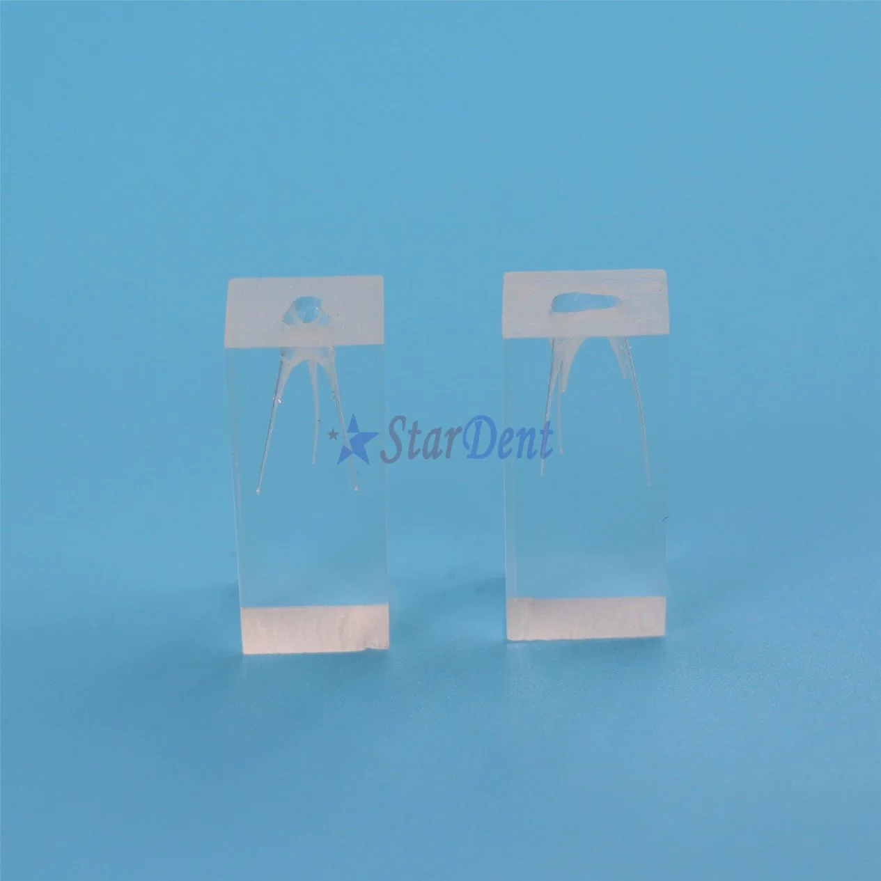 Popular Transparent Resin Endo Training Block 3 Root Canals Model for Teaching Use