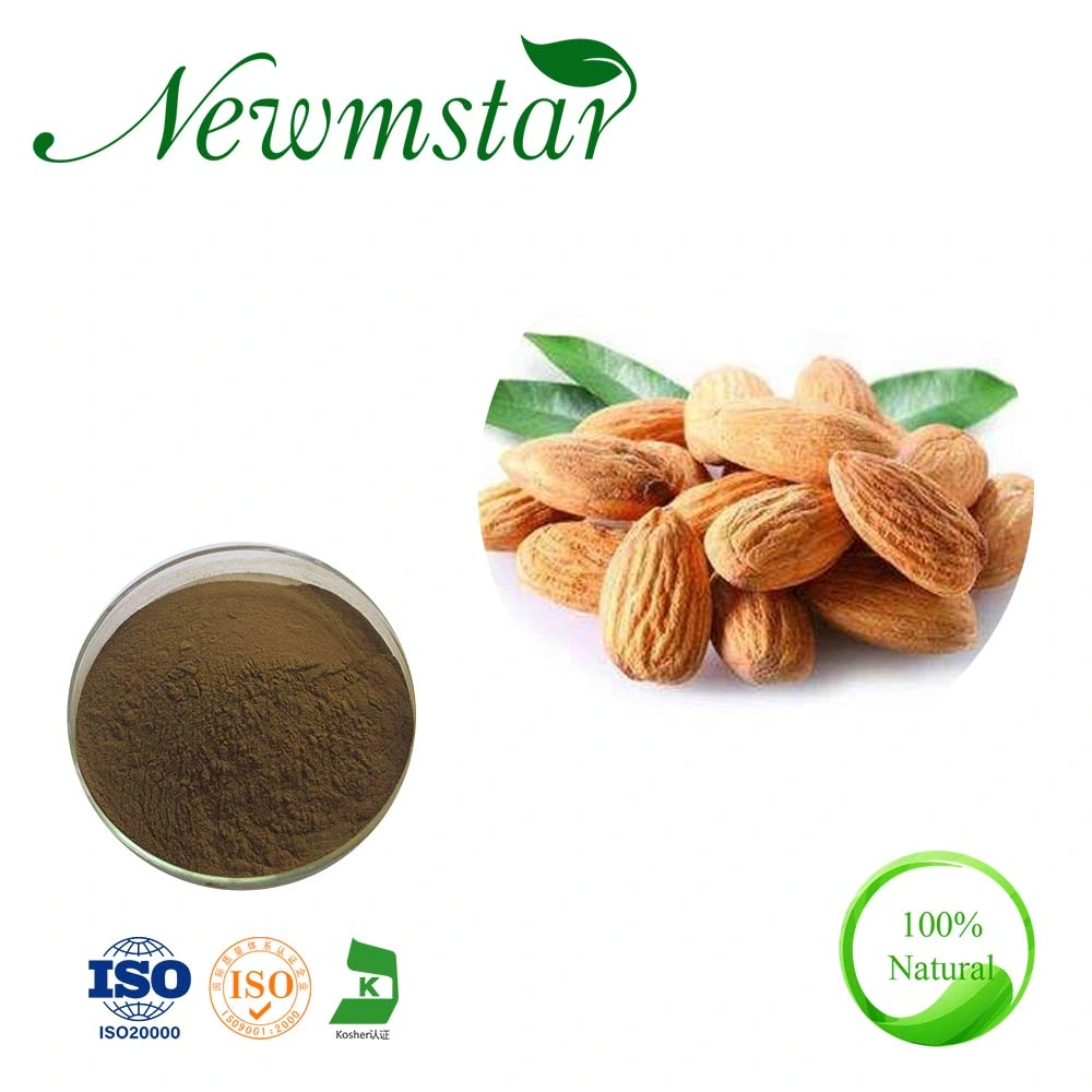 High Quality 98% Amygdalin Powder Bitter Apricot Seed Extract/Apricot Fruit Powder Extract