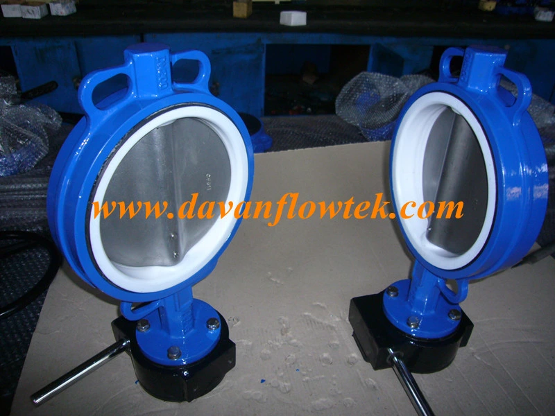 China Manual Cast Ductile Iron Ggg40 Wafer Lug Flanged Handle Without Pin Water Butterfly Valve