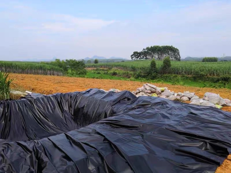 Fish Farm Pond Liner HDPE Geomembrane Waterproof Plastic Materials